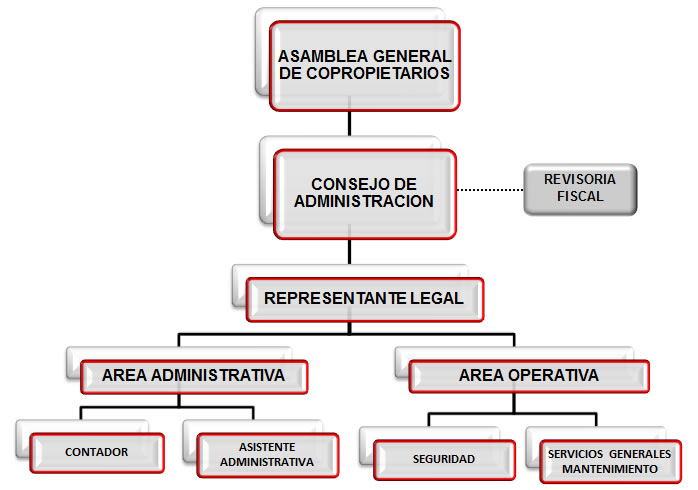 organigrama